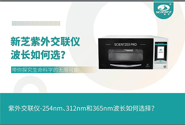 唐縣紫外交聯(lián)儀在各波長之間如何選擇