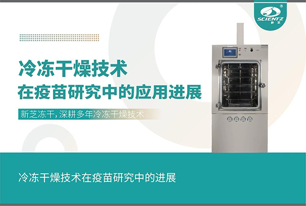 唐縣冷凍干燥技術(shù)在疫苗研究中的應(yīng)用進(jìn)展