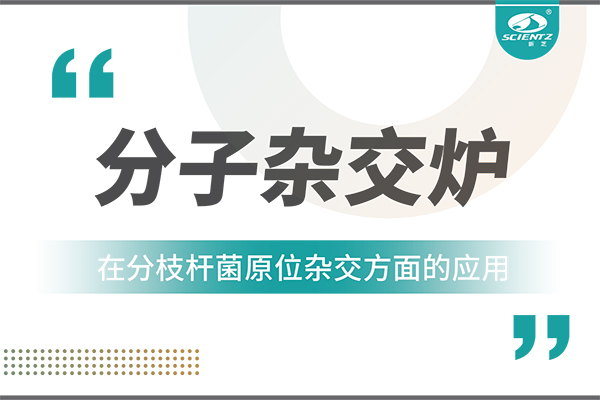 唐縣分子雜交爐在分枝桿菌原位雜交方面的應(yīng)用