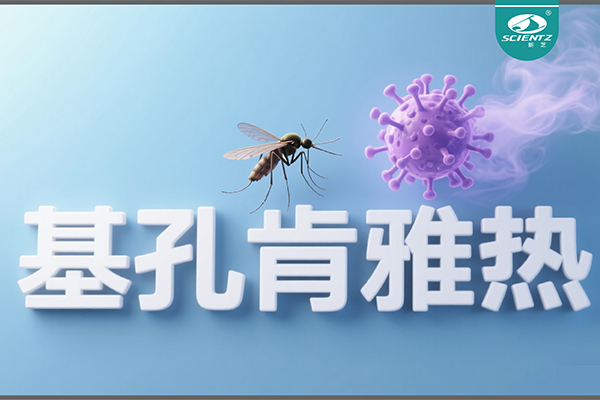 基孔肯雅熱疫情升級(jí)！新芝生物硬核技術(shù)助力病毒精準(zhǔn)診斷