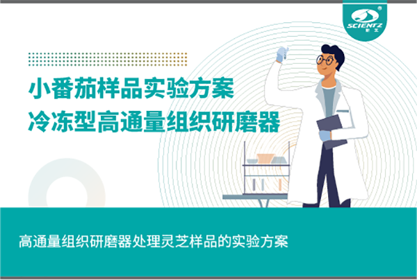唐縣冷凍型高通量組織研磨器處理小番茄樣品的實(shí)驗(yàn)方案