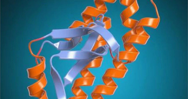 微信圖片_20250811104934