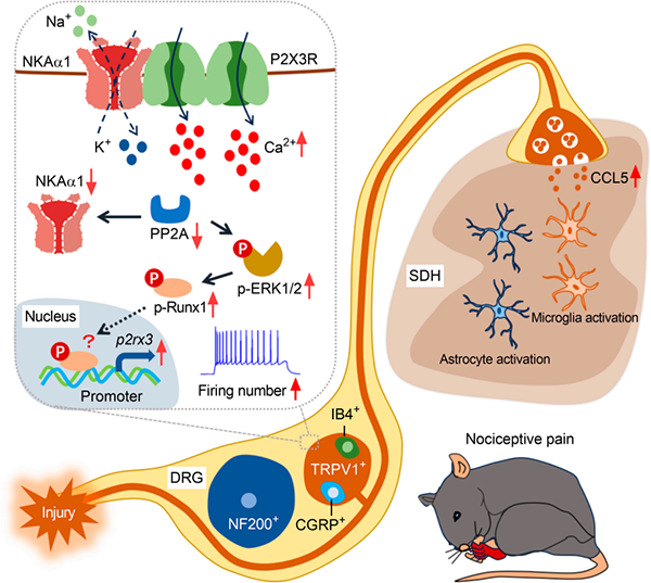 微信圖片_2026-01-22_133636_948